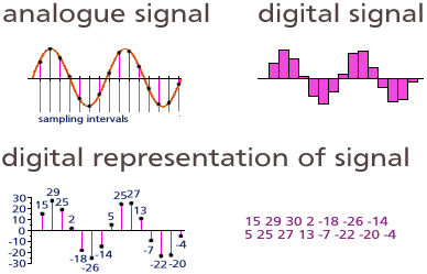 Digital vs. analog signals