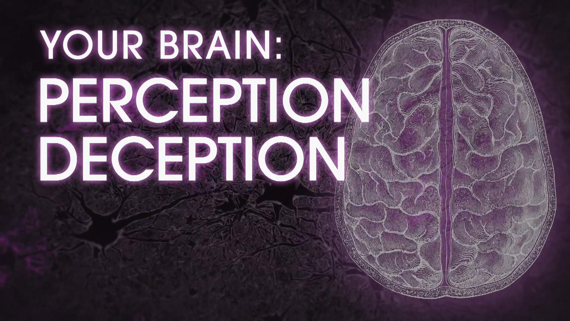 Cover image from PBS Nova's documentary "Your Brain: Perception Deception" 